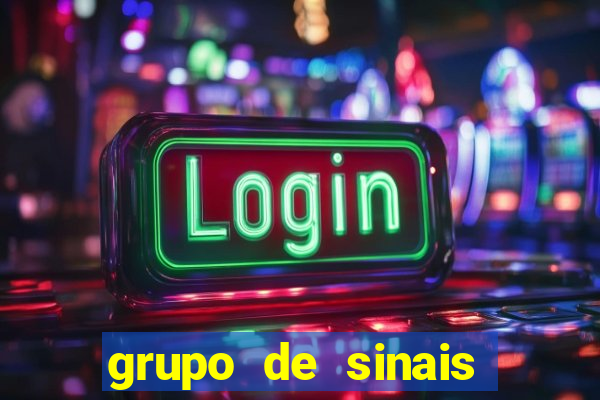 grupo de sinais fortune rabbit